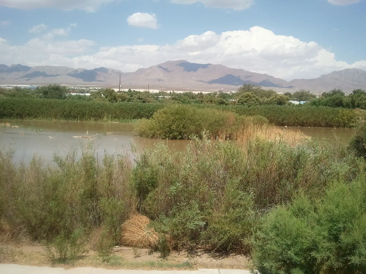 The Rio Grande in the Upper Valley, looking toward the Franklin Mountains.